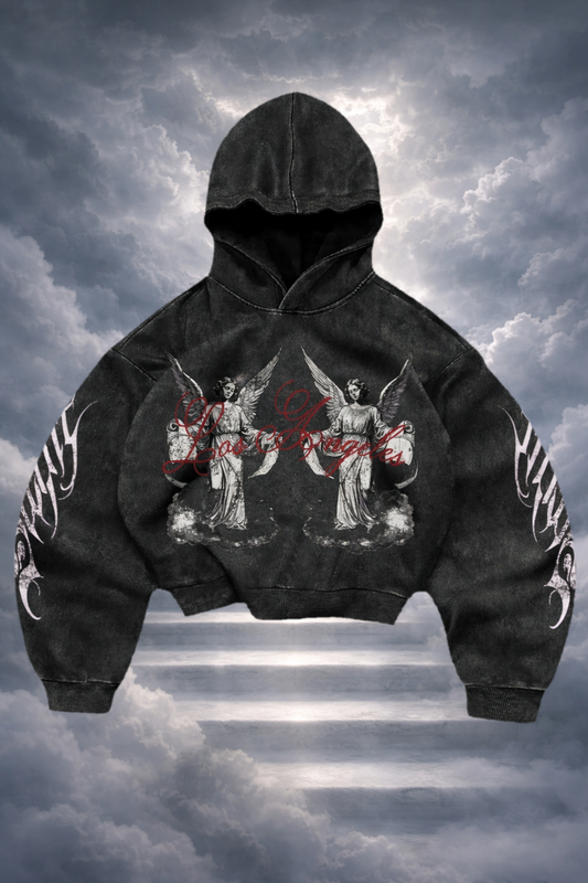 Hoddie Cristiano - Angeles en el cielo